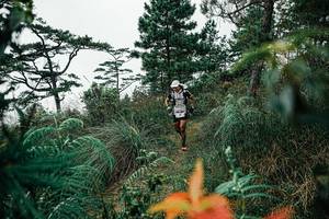 BIB: 
                            <button type="button" onclick="openModal(25257767)" class="btn btn-primary btn-sm float-right btn-popup" data-toggle="modal" data-target=".modal-high-quality">
                        <i class="fas fa-shopping-cart"></i> Add to Cart
                    </button>
                                            <button type="button" onclick="isThisMe(25257767, true)" class="btn btn-success btn-sm float-right btn-popup btn-isme hidden" data-toggle="tooltip" data-placement="bottom" title="นี่คือรูปของคุณใช่ไหม คลิกที่นี่เพื่อเอาเข้าอัลบั้ม">
                        <i class="fas fa-plus"></i> Add to album
                    </button>
                    <button type="button" onclick="isThisMe(25257767, false)" class="btn btn-warning btn-sm float-right btn-popup btn-isnotme hidden">
                        <i class="fas fa-ban"></i> Remove from album
                    </button>